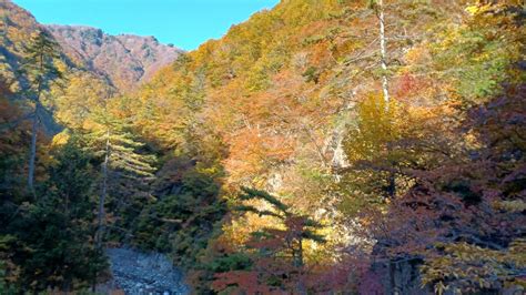 大門山|大門山